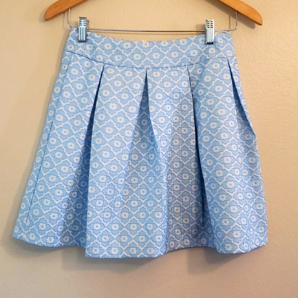 Modern Pleated Skirt